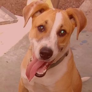 Meet your Posher, Anna grace